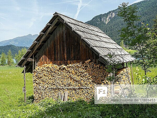Hütte mit Brennholz  bei Techendorf am Weißensee  Kärnten  Österreich  Europa