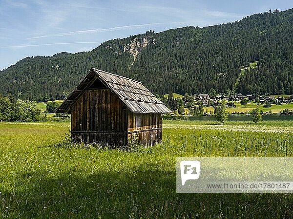 Hay hut near Techendorf am Weißensee  Carinthia  Austria  Europe