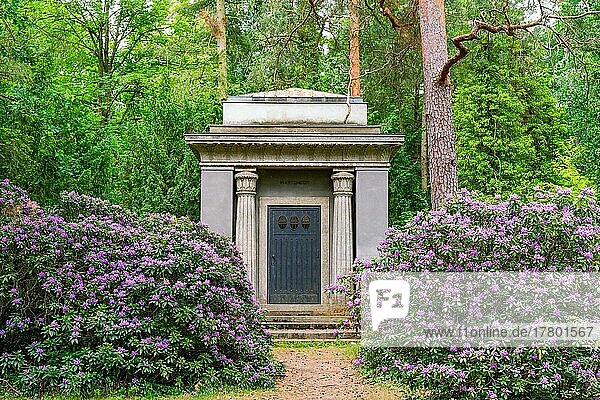 Historisches Grabmal und blühender Rhododendron  Südwestkirchhof Stahnsdorf  Potsdam-Mittelmark  Brandenburg  Deutschland  Europa