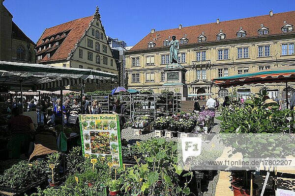 Markt auf dem Schillerplatz  hinten Fruchtkasten und Prinzenbau  Landeshauptstadt Stuttgart  Baden-Württemberg  Deutschland  Europa