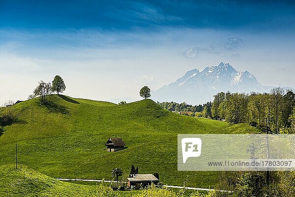 Panorama mit Hütten und Hügeln  hinten Pilatus  Weggis  Vierwaldstättersee  Kanton Luzern  Schweiz  Europa
