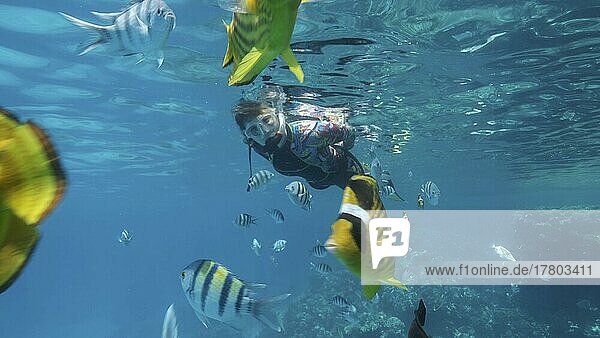 Frau in Tauchausrüstung schwimmt auf der Oberfläche des Wassers und schaut auf Meereslebewesen. Frau mit Schnorchelausrüstung schwimmt unter Wasser und schaut sich tropische Fische an. Rotes Meer  Ägypten  Afrika