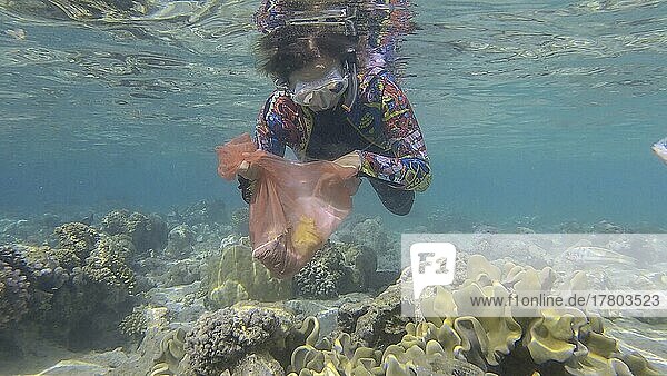 Woman in diving equipment swims and collects plastic debris underwater on the bottom of coral reef. Snorkeler cleaning Ocean from plastic pollution. Plastic pollution of the Ocean. Red sea  Egypt  Africa