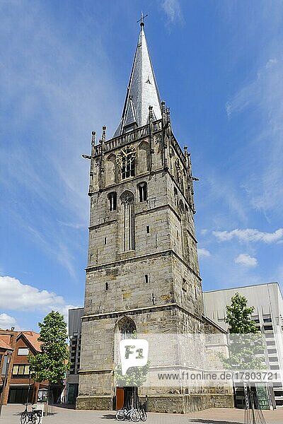 Katholische Pfarrkirche St. Mariä Himmelfahrt  Ahaus  Münsterland  Westfalen  Nordrhein-Westfalen  Deutschland  Europa