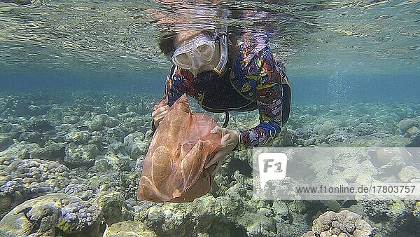 Frau in Tauchausrüstung schwimmt und sammelt Plastikmüll unter Wasser auf dem Boden des Korallenriffs. Schnorchler säubert den Ozean von Plastikverschmutzung. Plastikverschmutzung des Ozeans. Rotes Meer  Ägypten  Afrika