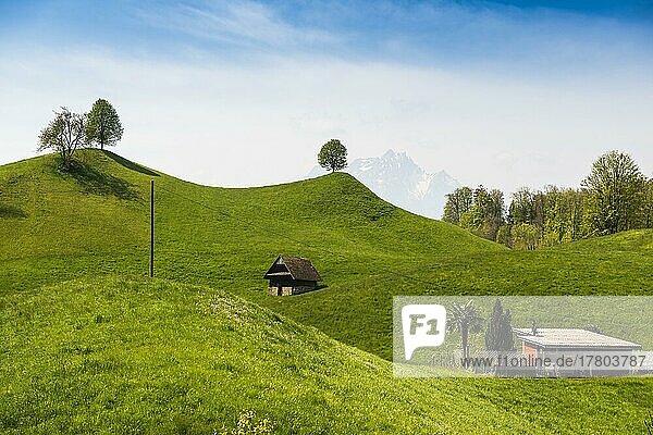 Panorama mit Hütten und Hügeln  hinten Pilatus  Weggis  Vierwaldstättersee  Kanton Luzern  Schweiz  Europa