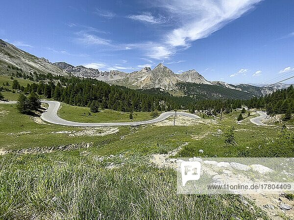 Blick über wilde Alpenwiese auf kurvige Alpenstraße Bergstraße vor Col de l Izoard  Cottische Alpen  Route des Grandes Alpes  Département Hautes-Alpes  Frankreich  Europa
