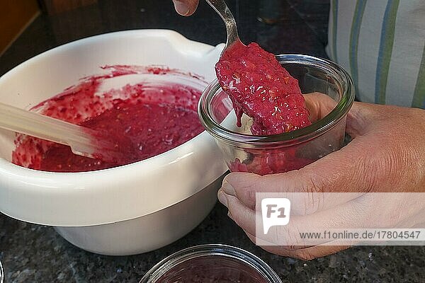 Southern German cuisine  preparing walnut cake with beetroot  beetroot-carrot nut cake in a jar  dough  filling mass into jars  baking speciality  from the oven  baked  sweet cake  vegetarian  sweet  healthy  on the go  party cake  pastry  from root vegetables  man's hands  mixing bowl  spoon  food photography  studio  Germany  Europe