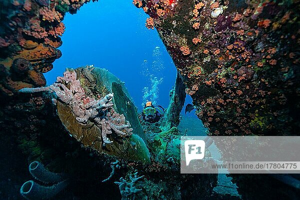 Divers in front of the propeller of the wreck of the Hilma Hooker  Bonaire