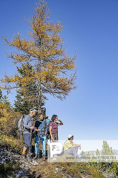 Group of hikers in autumn  hiking trail to Arnspitze  near Mittenwald  Bavaria  Germany  Europe