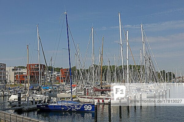 Yachthafen  Waterfront Viertel  Priwall  Travemünde  Lübeck  Schleswig-Holstein  Deutschland  Europa