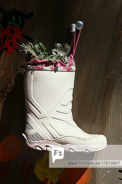 DIY  Recycling  Old shoe as flower pot  Germany  Europe