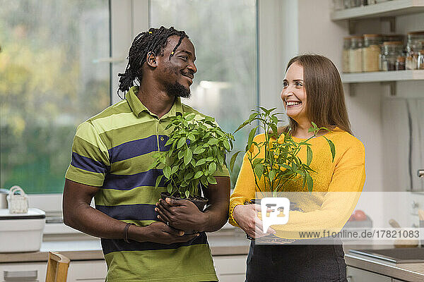 Smiling couple holding houseplants standing in kitchen