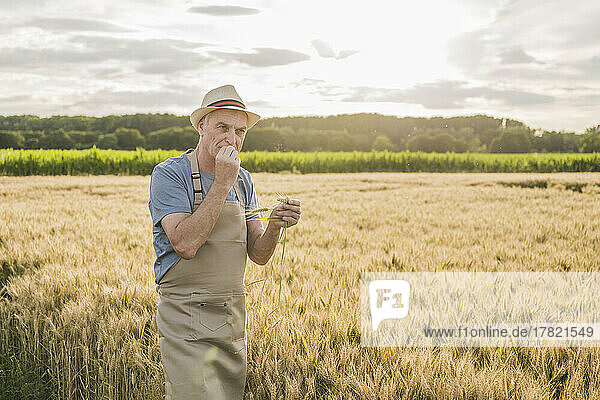 Farmer smelling wheat crop standing in farm