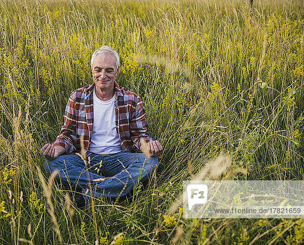 Happy farmer sitting cross-legged meditating amidst plants