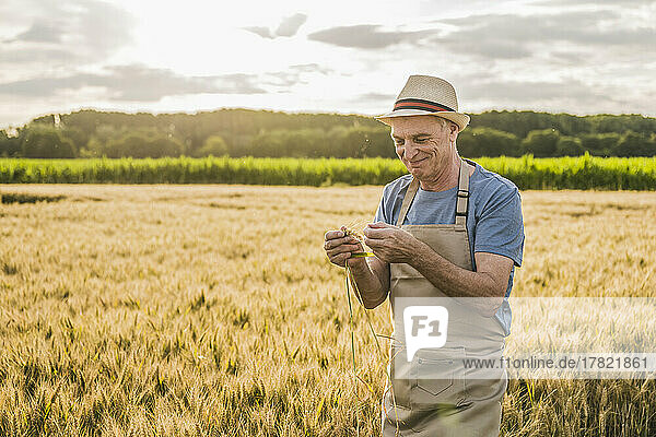 Happy farmer wearing apron examining crop in farm