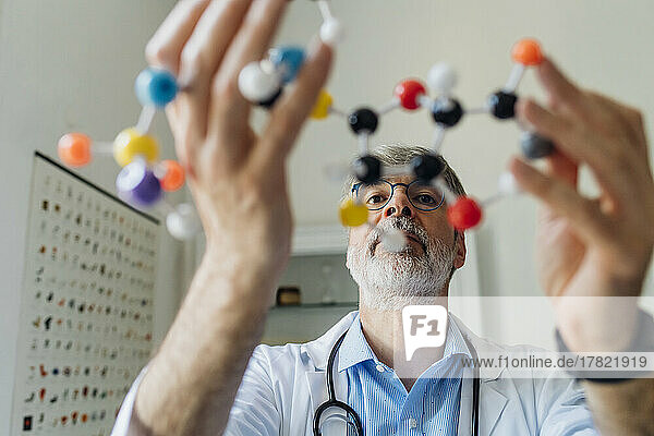 Doctor examining DNA molecule model in laboratory
