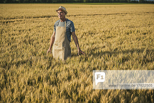Senior farm worker wearing apron standing in field