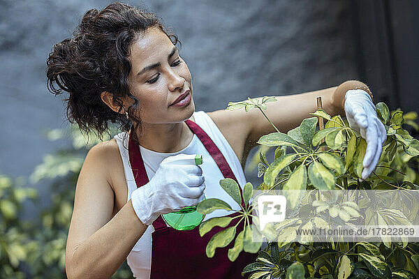 Frau mit Handschuh gießt Pflanze im Garten