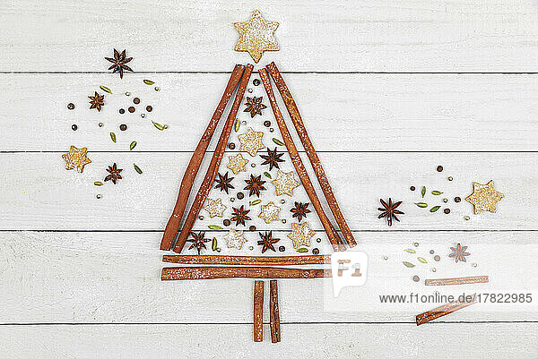 Studio shot of Christmas tree shape made of various spices and cookies