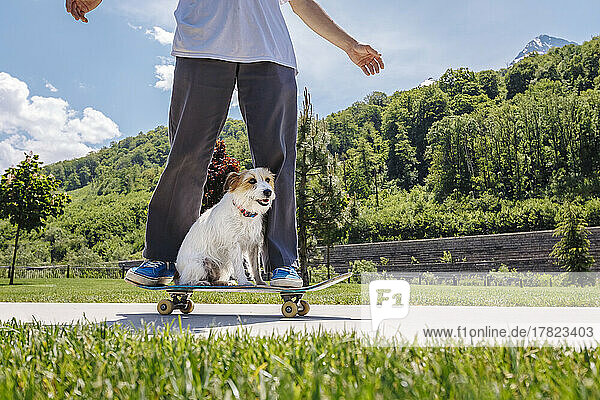 Mann fährt an sonnigem Tag mit Hund im Park Skateboard