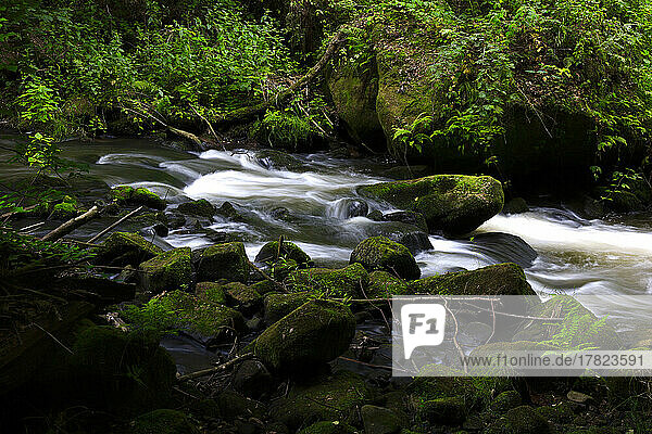 Germany  Saxony  Long exposure of Wesenitz river flowing through Liebethaler Grund valley in spring