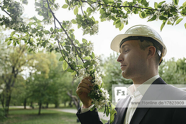 Architect smelling apple blossoms in park