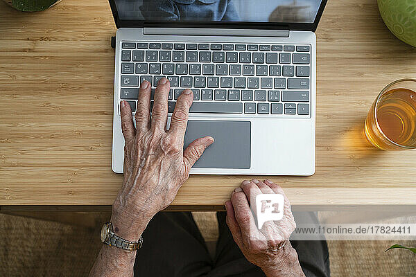 Hands of senior woman using laptop at home