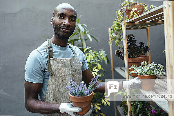 Lächelnder Mann mit Glatze hält Topfpflanzen im Garten
