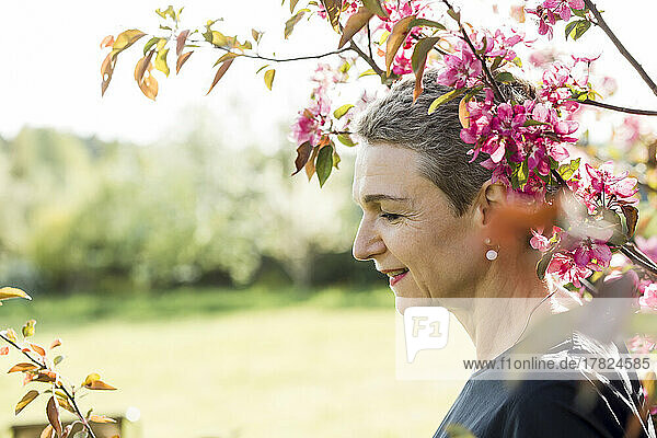Lächelnde Frau steht neben einem Zweig rosa Blumen im Garten