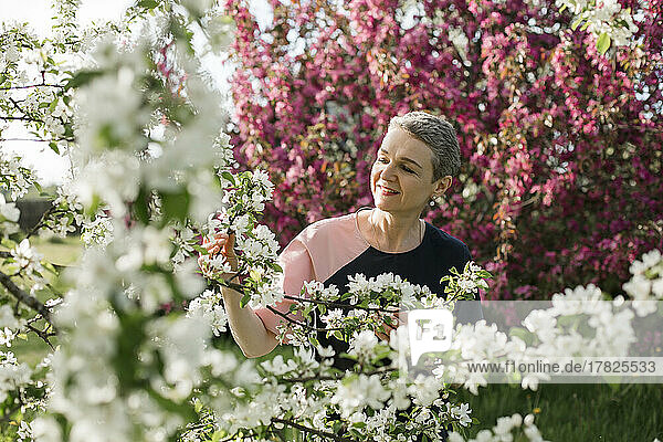 Lächelnde Frau blickt auf die weißen Blüten eines Apfelbaums im Garten