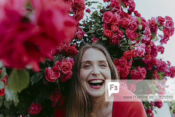 Fröhliche Frau genießt inmitten eines Rosenstrauchs