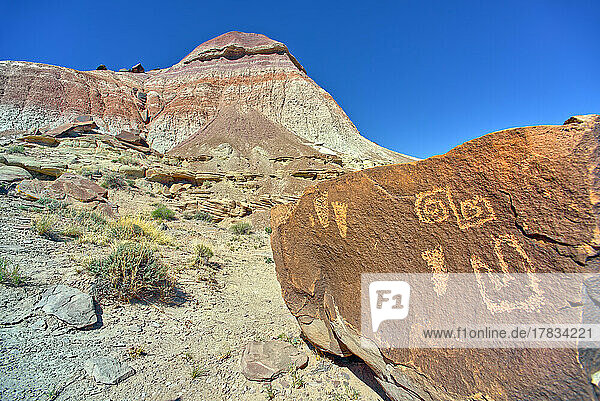 Ancient Indian petroglyphs on a boulder near Martha's Butte in Petrified Forest National Park  Arizona  United States of America  North America