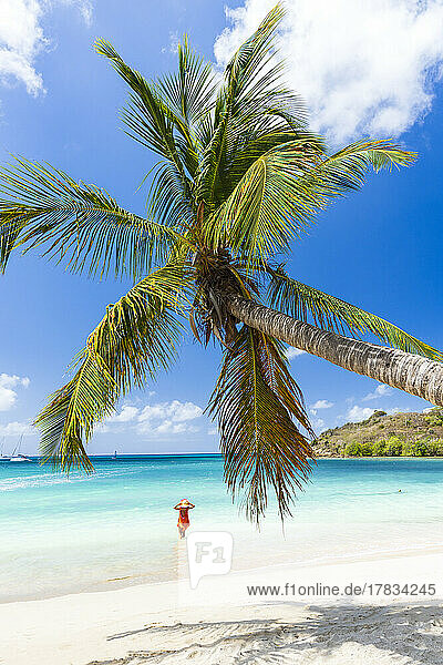 Frau mit Strohhut schaut auf den Palmenstrand im türkisfarbenen Wasser des Karibischen Meeres  Antigua  Westindien  Karibik  Mittelamerika