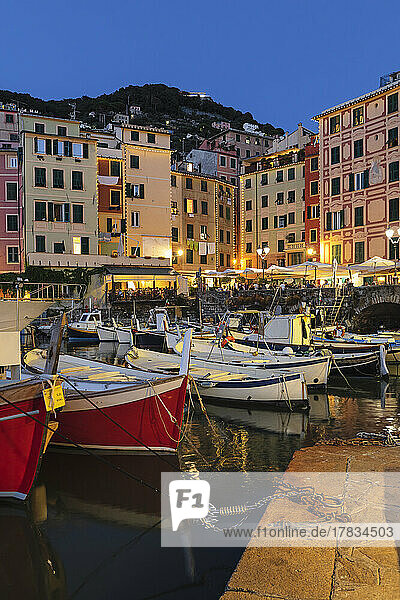 The old port  Camogli  Rivera di Levante  Genova District  Liguria  Italy  Europe