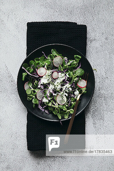Feldsalat mit Rotkohl  Radieschen und Joghurtdressing