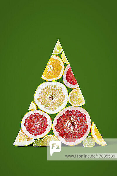 Zitrusfruchtscheiben arrangiert in dreieckiger Weihnachtsbaumform