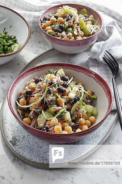 Salat mit Kichererbsen  schwarzen Bohnen  Thunfisch und Sonnenblumensprossen