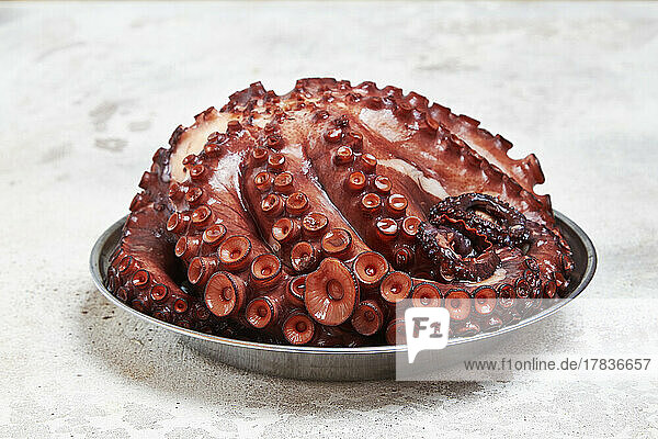 Ganzer  gekochter galizischer Oktopus