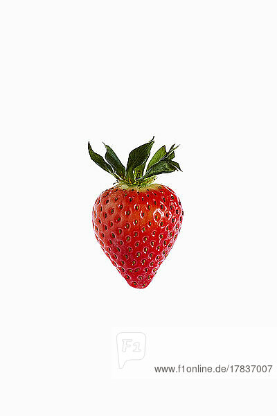 Erdbeere vor weißem Hintergrund