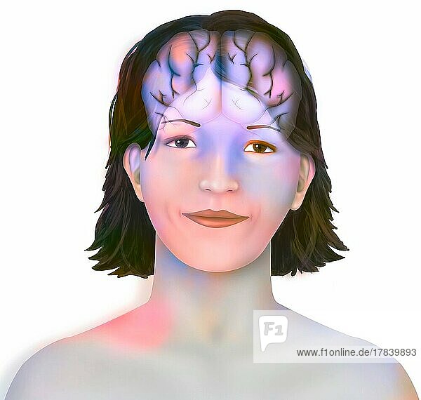 Brain (right and left cerebral hemispheres) in a woman's face.