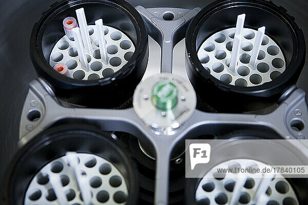 Hospital biology laboratory: centrifugation of blood samples.