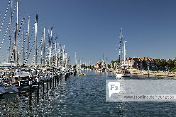 Hafen von Orth mit Segelbooten Insel Fehmarn  Ostsee  Schleswig-Holstein  Deutschland  Europa