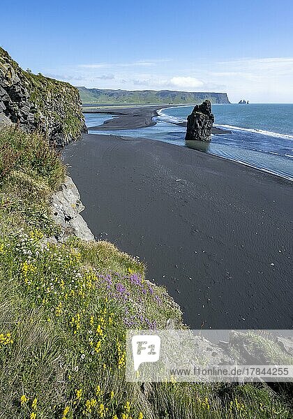 Felsen im Meer  Blick über den Reynisfjara Strand  Schwarzer Sandstrand  Dyrhólaey  Südisland  Island  Europa