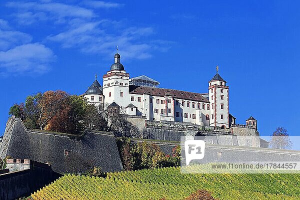 Die Festung Marienberg in Würzburg bei schönem Wetter. Unterfranken  Franken  Bayern  Deutschland  Europa