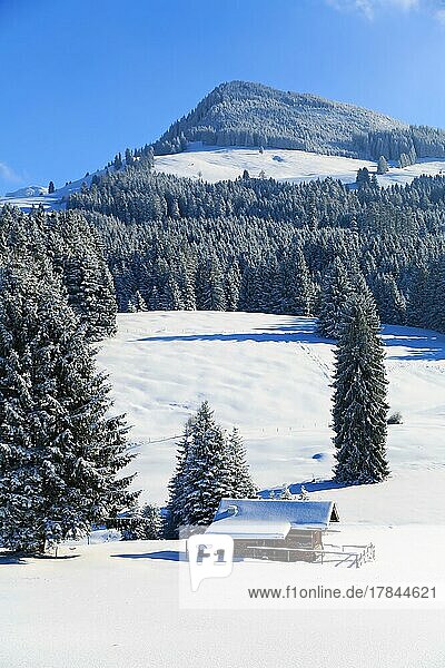 Herrliche Winterlandschaft bei blauem Himmel und Sonnenschein. Sonthofen  Oberallgäu  Schwaben  Bayern  Deutschland  Europa