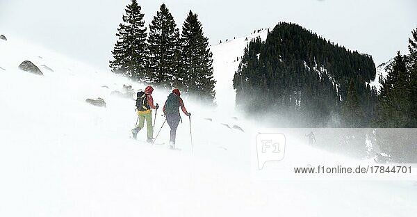 Zwei Skitourengeher  Schneesturm  Taubenstein  Schlierseer Berge  Mangfallgebirge  Bayern  Deutschland  Europa