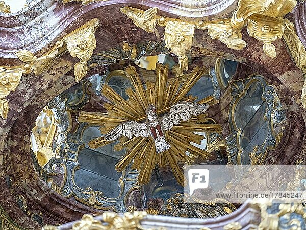 Pilgrimage Church of the Flagellated Saviour on the Wies  Wieskirche  UNESCO World Heritage Site  dove as symbol of the Holy Spirit in the pulpit lid  Steingaden  Bavaria  Germany  Europe