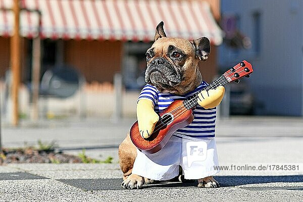 Lustige Hundekostüm auf Französisch Bulldog gekleidet als Straßenkünstler Musiker trägt gestreiftes Hemd und gefälschte Arme halten eine Spielzeuggitarre stehen in der Stadt Straße am sonnigen Tag