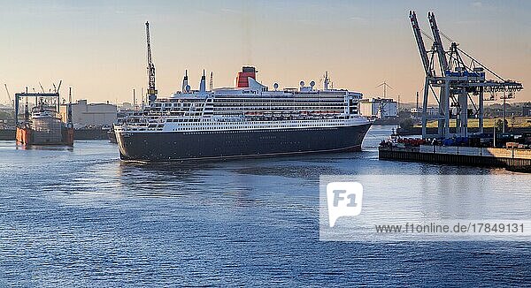 Cruise ship  transatlantic liner Queen Mary 2 on the Elbe in the port of Hamburg in the early morning sun  Hamburg  Land Hamburg  Northern Germany  Germany  Europe